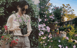 Nữ họa sĩ có khu vườn cổ tích, mở được cả triển lãm tranh nhờ vẽ hoa trong vườn nhà