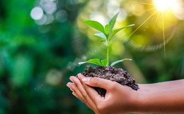 Ngân hàng lớn nhất hệ thống lan tỏa tầm nhìn xanh