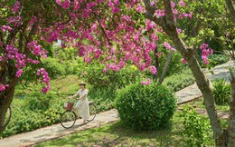 Trải nghiệm không gian nghỉ dưỡng xanh tại Fleur de Lys Resort & Spa Long Hải