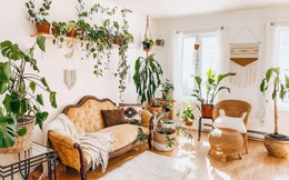 3 kiểu vườn trong nhà thành thị mà ai nhìn cũng mê, phù hợp với cả căn hộ có diện tích nhỏ