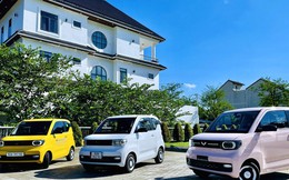 TMT Motors ưu đãi 20 triệu đồng/xe điện Mini EV cho 500 khách hàng