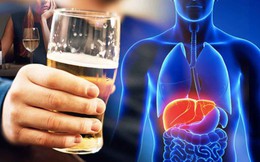 Cơ thể phản ứng thế nào với các mức nồng độ cồn?