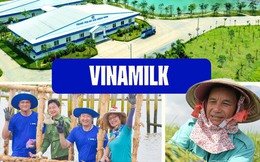 Những con số ấn tượng trên Lộ trình tiến đến Net Zero 2050 của Vinamilk