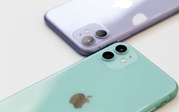 Giảm hơn nửa giá, đây là mẫu iPhone rẻ nhất hiện nay: Chưa tới 10 triệu đồng đã có ngay máy mới