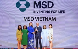 MSD khánh thành văn phòng mới tại Thành phố Hồ Chí Minh