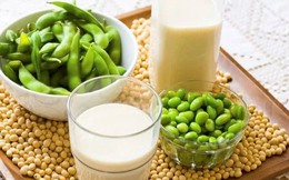 Bận rộn vẫn sống khỏe nhờ đạm ‘xanh’ từ sữa đậu nành