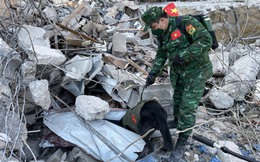 Lực lượng của Quân đội Nhân dân Việt Nam đưa chó nghiệp vụ đến nơi thiệt hại nặng nề nhất Thổ Nhĩ Kỳ