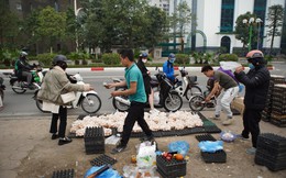 Sự thật chuyện 'giải cứu trứng gà 65.000 đồng 30 quả' tràn lan trên vỉa hè Hà Nội