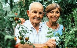 Sở thích đơn giản của những cư dân tại “vùng xanh”: Làm thường xuyên giúp tăng tuổi thọ