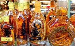 Chuyên gia khuyến cáo cách uống rượu ngâm cực nguy hiểm