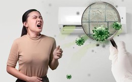 Cần vệ sinh và thay màng lọc không khí của thiết bị ngay hôm nay!
