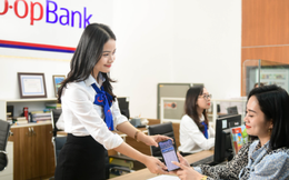 Co-opBank đẩy mạnh chuyển đổi số hỗ trợ QTDND phát triển bền vững