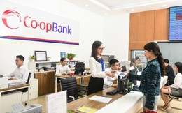 Co-opBank: Điểm tựa nâng cao năng lực cho hệ thống QTDND