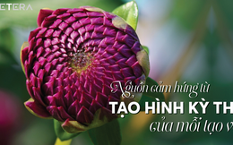 Hà Nội chào đón dự án mới dành cho khách hàng "sống trẻ"