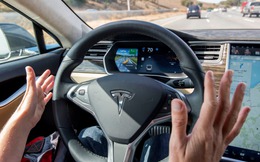 Chuyên gia xếp hạng các công ty công nghệ tự lái hàng đầu, Tesla thậm chí không lọt Top 10