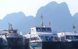 Ngân hàng tăng cường hỗ trợ doanh nghiệp do phụ nữ làm chủ