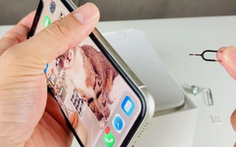 iPhone 11 Pro Max 2 sim chỉ khoảng 10 triệu được săn đón