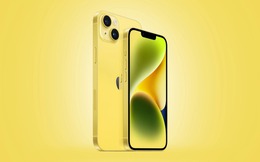 iPhone 14 và 14 Plus có thêm màu mới, nhưng hoá ra có từ đời iPhone XR
