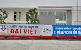 Công ty xi măng Đại Việt dự kiến đạt lợi nhuận 49 tỷ/năm