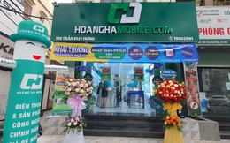 Nổi danh vì bán điện thoại giá rẻ, Hoàng Hà Mobile nói gì khi bị TGDĐ thách thức cạnh tranh giá?