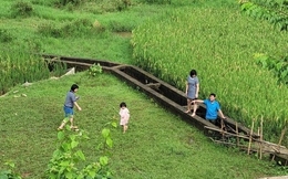 Nửa năm rời phố về làng sống như một giấc mơ của gia đình nhỏ, nơi những đứa trẻ mê tít chẳng muốn về