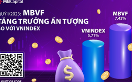 Quỹ đầu tư cổ phiếu MBVF: Lửa thử vàng, gian nan thử sức