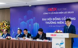 ĐHĐCĐ Gelex Electric thông qua kế hoạch lợi nhuận trước thuế 928 tỷ đồng