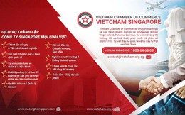 VietCham Singapore: Ra mắt chương trình hỗ trợ doanh nhân Việt tại nước ngoài