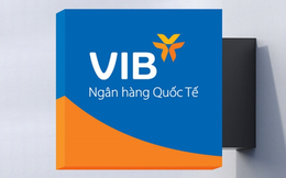 VIB: Lãi quý 1 đạt 2.700 tỷ, tăng 18%, đang trả cổ tức 35% và ESOP