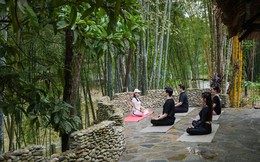 Panhou Retreat: Hơn cả một điểm đến!