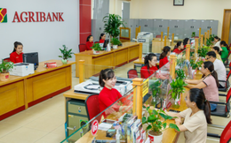 Agribank tích cực triển khai hỗ trợ khách hàng vượt qua khó khăn