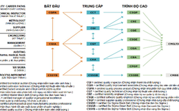 Lean Six Sigma tăng cường năng lực cạnh tranh cho sản xuất Việt Nam