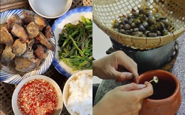 Không tốn một xu đi chợ vẫn có “cơm ngon, canh ngọt” khiến người ở phố phát thèm
