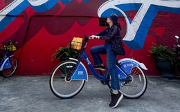 Thử thuê xe đạp TNGo ở Hải Phòng: Cước rẻ, đi vui, còn bất cập nhưng xứng đáng được nhân rộng