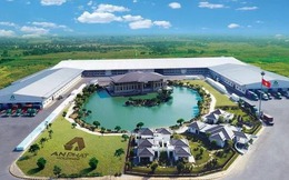 Kinh doanh cải thiện, An Phát Holdings và các công ty thành viên đều có lãi trong quý 1/2023