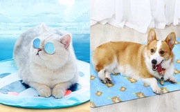 7/5 sale ti tỉ đồ chăm boss, các &quot;con sen&quot; mau vào sắm ngay để ví vẫn bảo toàn!