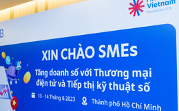 Làm sao để doanh nghiệp kinh doanh thương mại điện tử hết thiếu vốn?