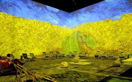 Cầu được ước thấy, giờ giới trẻ có thể thưởng tranh Van Gogh lừng danh ngay tại nhà