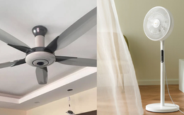 Quạt trần hay quạt cây tốn điện hơn? Bảng so sánh từ nghiên cứu của chuyên gia gây bất ngờ
