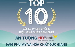 HDBank xuất hiện ấn tượng trong TOP 10 công ty đại chúng hiệu quả nhất 2023