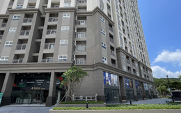 Một Hạ Long hoàn hảo