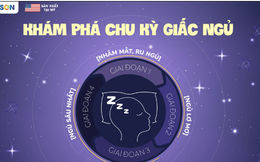 Chu kỳ giấc ngủ - cuộc hành trình tái tạo và hồi phục của cơ thể