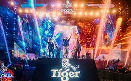 Tiger Crystal Rave Vũng Tàu phá kỷ lục với 60.000 khán giả &quot;quẩy té nước”