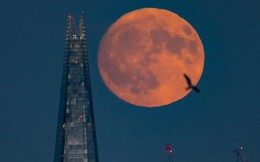 Loạt ảnh chụp &quot;siêu trăng hươu&quot; lớn nhất năm 2023, tỏa sáng rực rỡ làm xiêu lòng người yêu thiên văn khắp thế giới