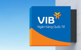 VIB: Lợi nhuận 6 tháng đầu năm 2023 tăng 12%, ROE đạt 29%