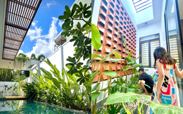 Vợ chồng gom tiền 5 năm xây nhà rộng 210m2, góc nào cũng có cây xanh 