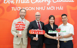 Sự kiện "Đón mùa Cherry Canada" đưa trái cây hảo hạng tới người tiêu dùng Việt