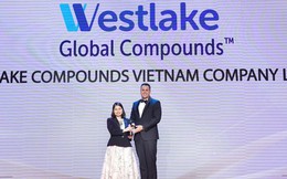 Westlake Compounds Việt Nam: "Nơi làm việc tốt nhất châu Á năm 2023"