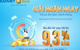 Vay vốn với lãi suất thấp tại BAOVIET Bank