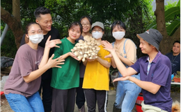 Tìm hiểu ngành Công nghệ sinh học nấm ăn và nấm dược liệu tại Học viện Nông nghiệp Việt Nam